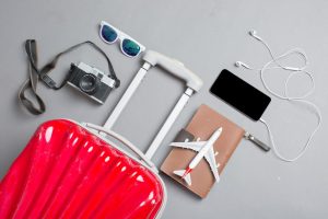 Travel Accessories